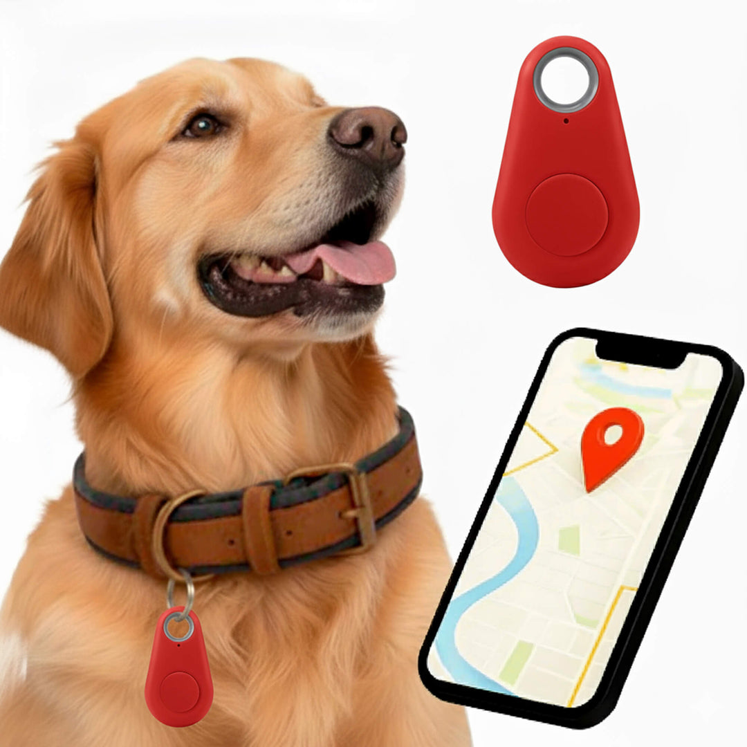 Norvo | GPS Hundesporing | Vanntett, Sanntid Plassering & Sikkerhetssone Varsler for Utendørs Eventyr