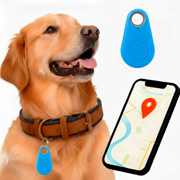 Norvo | GPS Hundesporing | Vanntett, Sanntid Plassering & Sikkerhetssone Varsler for Utendørs Eventyr