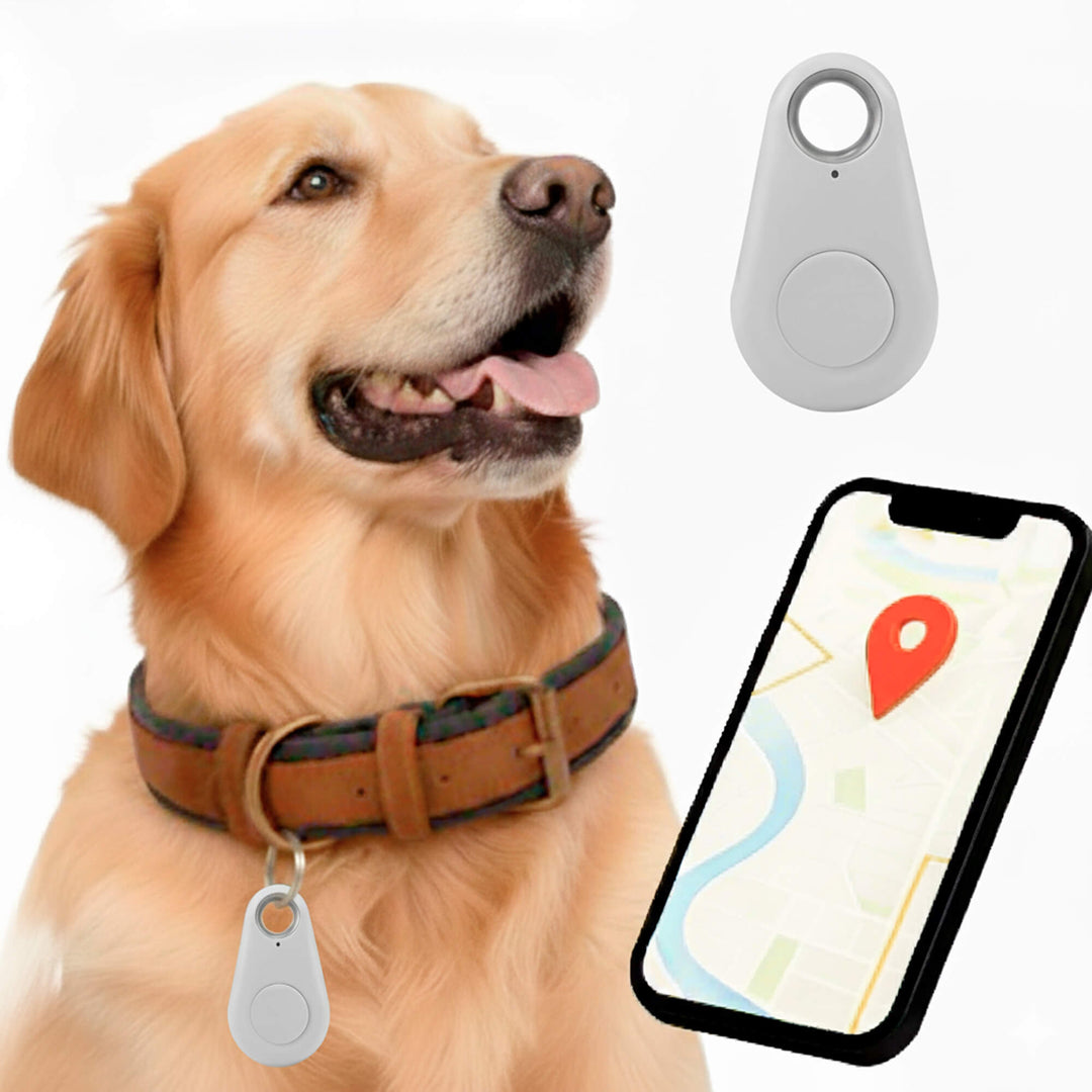 Norvo | GPS Hundesporing | Vanntett, Sanntid Plassering & Sikkerhetssone Varsler for Utendørs Eventyr