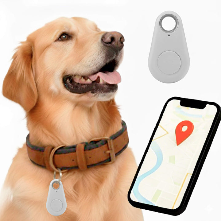 Norvo | GPS Hundesporing | Vanntett, Sanntid Plassering & Sikkerhetssone Varsler for Utendørs Eventyr