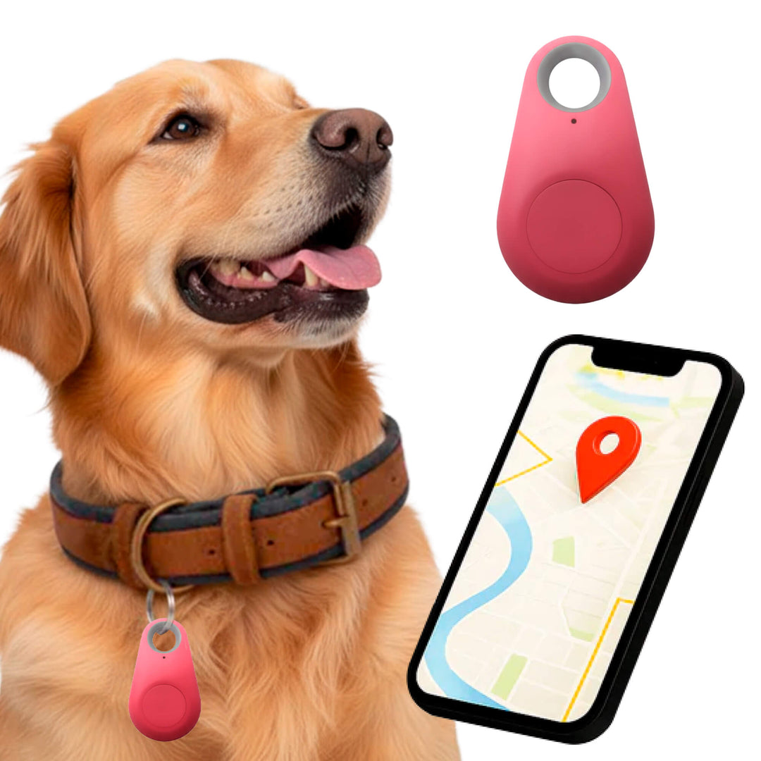 Norvo | GPS Hundesporing | Vanntett, Sanntid Plassering & Sikkerhetssone Varsler for Utendørs Eventyr