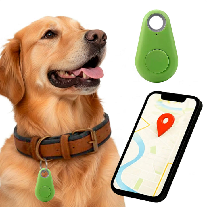 Norvo | GPS Hundesporing | Vanntett, Sanntid Plassering & Sikkerhetssone Varsler for Utendørs Eventyr