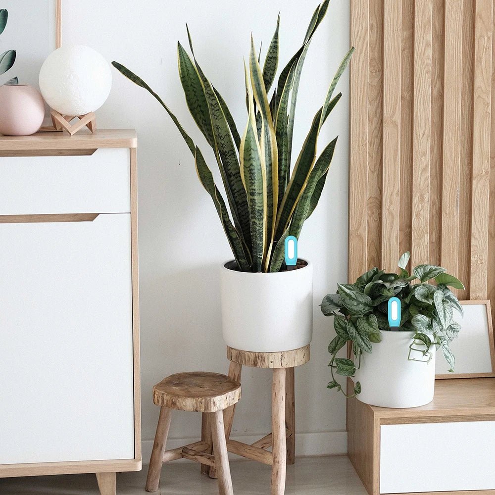 Norvo | Intelligent Jordmeter med Sanntidsovervåking