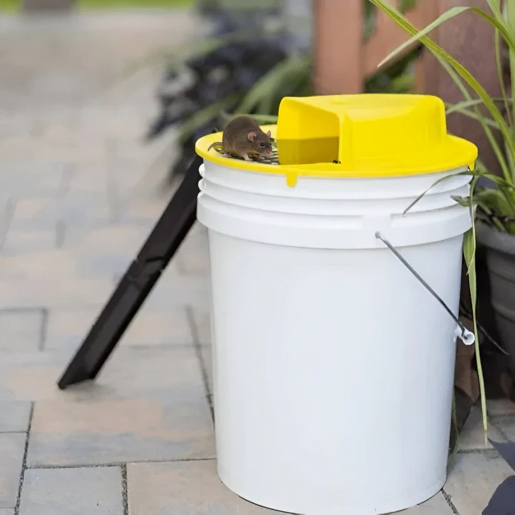 Norvo | Musefelle Multi-Fangst | Automatisk Vippefunksjon | Sikker for Barn og Kjæledyr