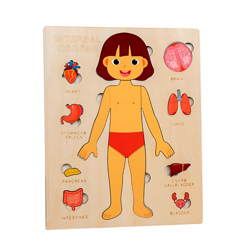 Norvo | BodySmart
