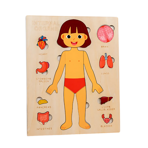 Norvo | BodySmart