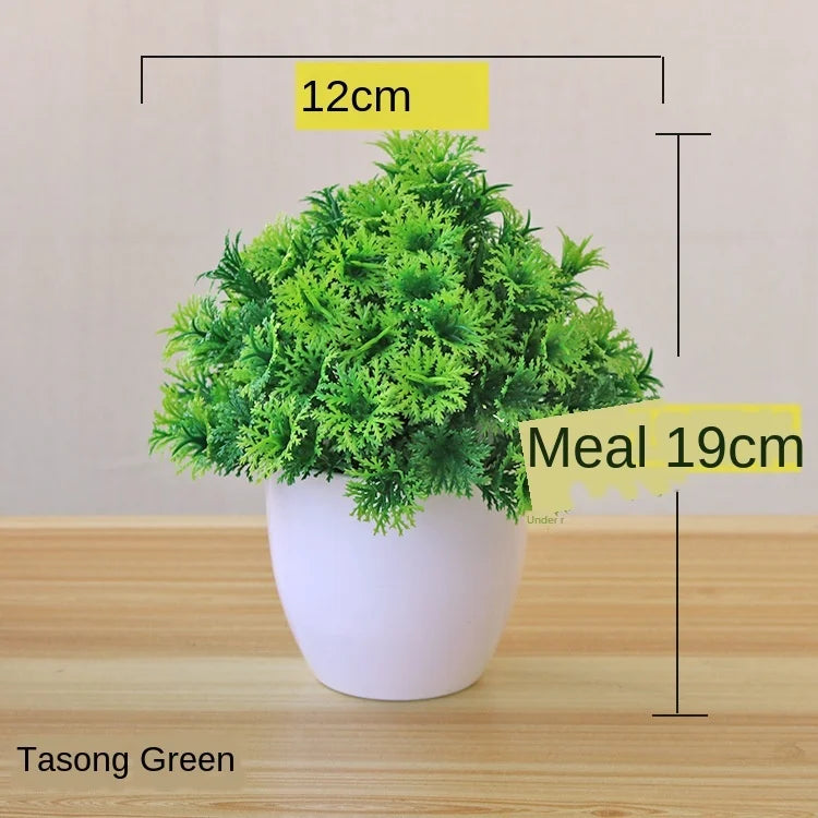 Norvo | Liten Tre Potte Bonsai Planter