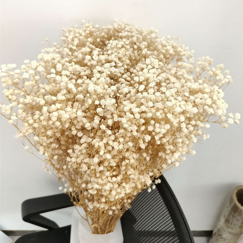 Norvo | Tørket Bevart Gypsophila Blomsterbukett – Naturlig Dekor