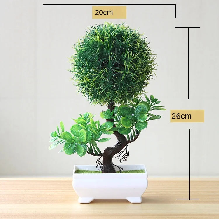 Norvo | Liten Tre Potte Bonsai Planter