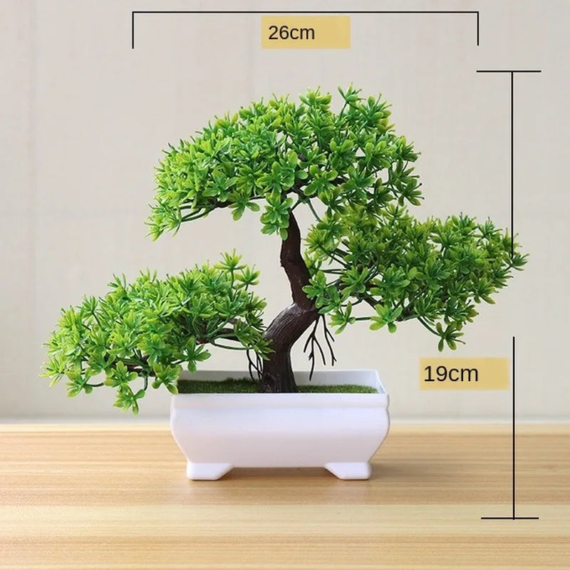Norvo | Liten Tre Potte Bonsai Planter
