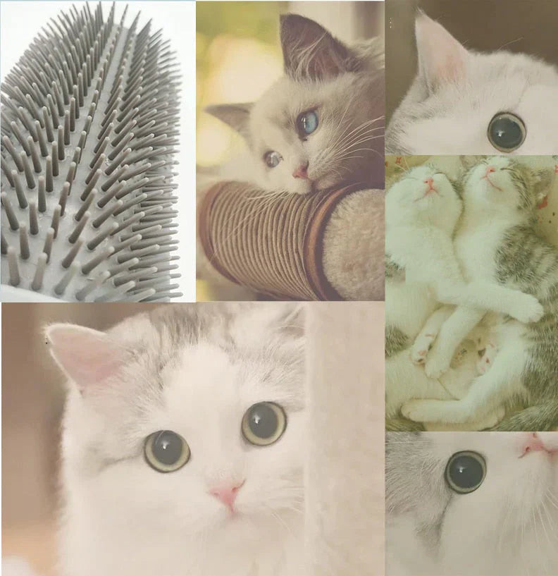 Selvpleie Katt Hjørnebørste – FurRelaxer Norvo