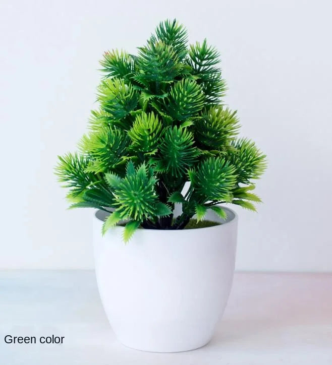Norvo | Liten Tre Potte Bonsai Planter