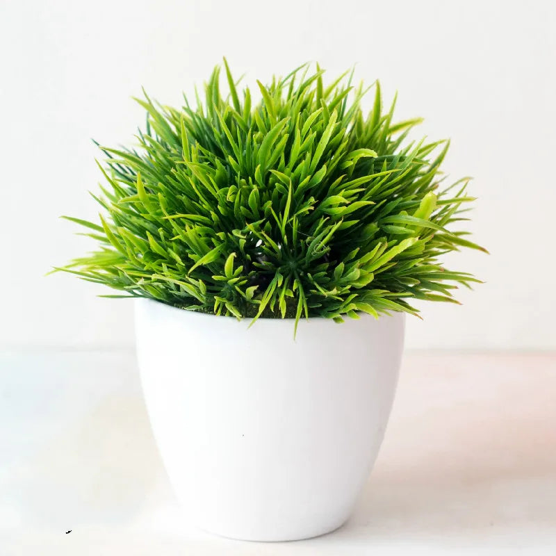 Norvo | Liten Tre Potte Bonsai Planter