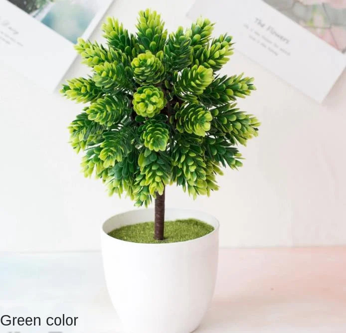Norvo | Liten Tre Potte Bonsai Planter
