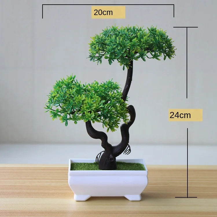 Norvo | Liten Tre Potte Bonsai Planter