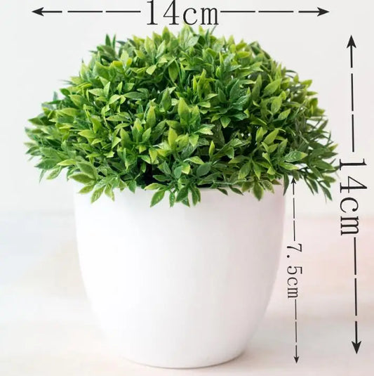 Norvo | Liten Tre Potte Bonsai Planter