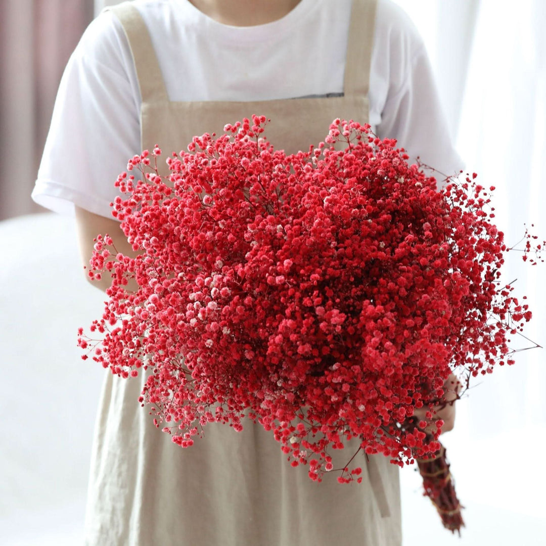 Norvo | Tørket Bevart Gypsophila Blomsterbukett – Naturlig Dekor