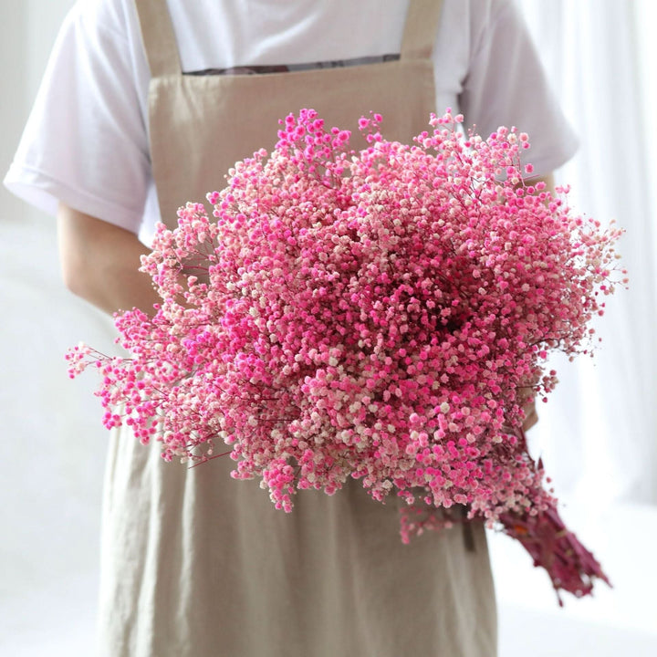 Norvo | Tørket Bevart Gypsophila Blomsterbukett – Naturlig Dekor