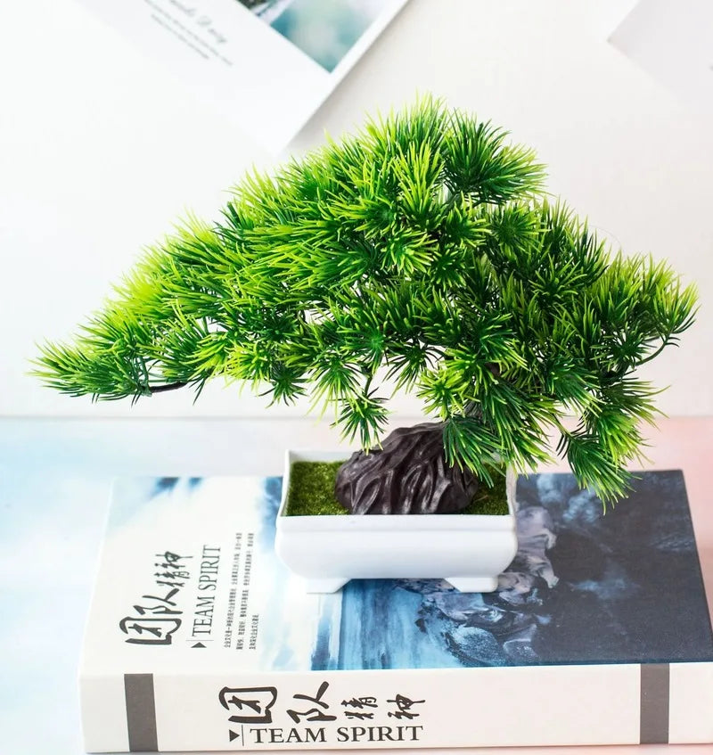 Norvo | Liten Tre Potte Bonsai Planter