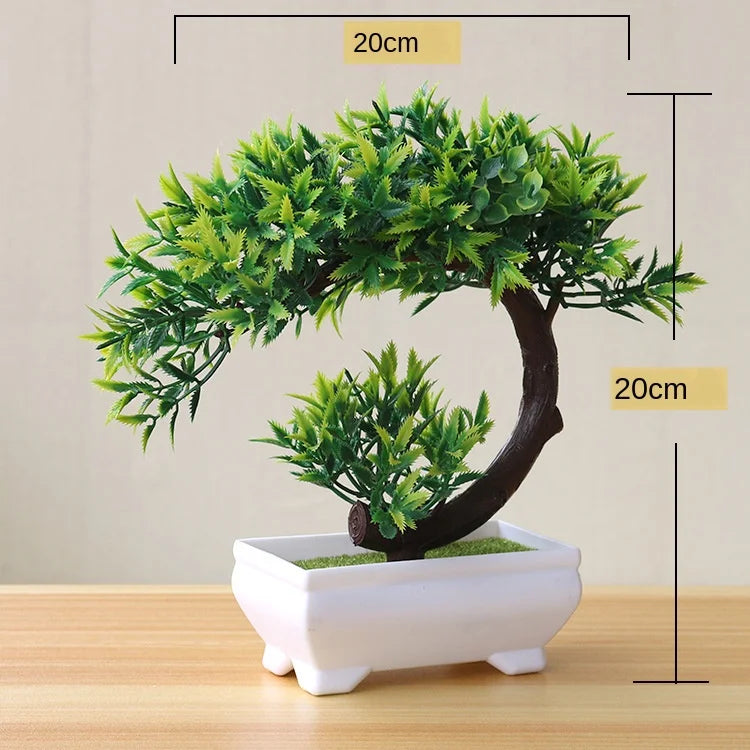 Norvo | Liten Tre Potte Bonsai Planter