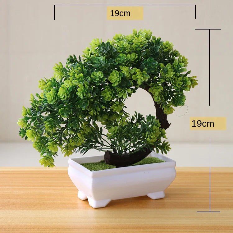 Norvo | Liten Tre Potte Bonsai Planter