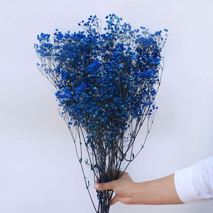 Norvo | Tørket Bevart Gypsophila Blomsterbukett – Naturlig Dekor