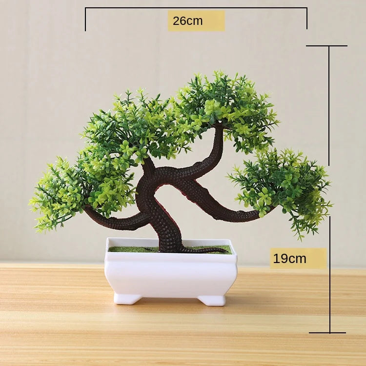 Norvo | Liten Tre Potte Bonsai Planter
