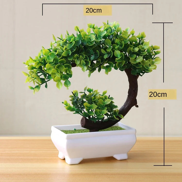Norvo | Liten Tre Potte Bonsai Planter