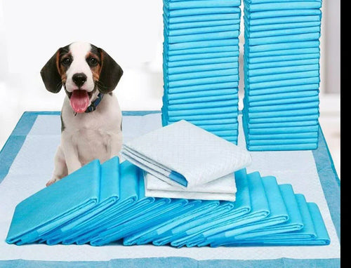 Pet Training Pads - DryPaws Matter Norvo
