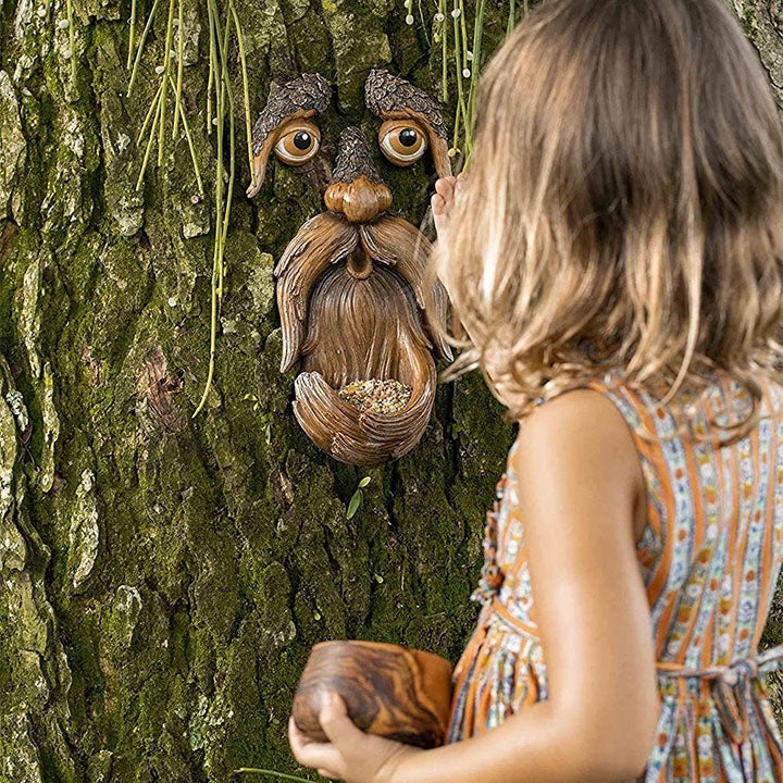 Norvo | Eyes of Nature: Tre Ansikt Fugl Matestasjon