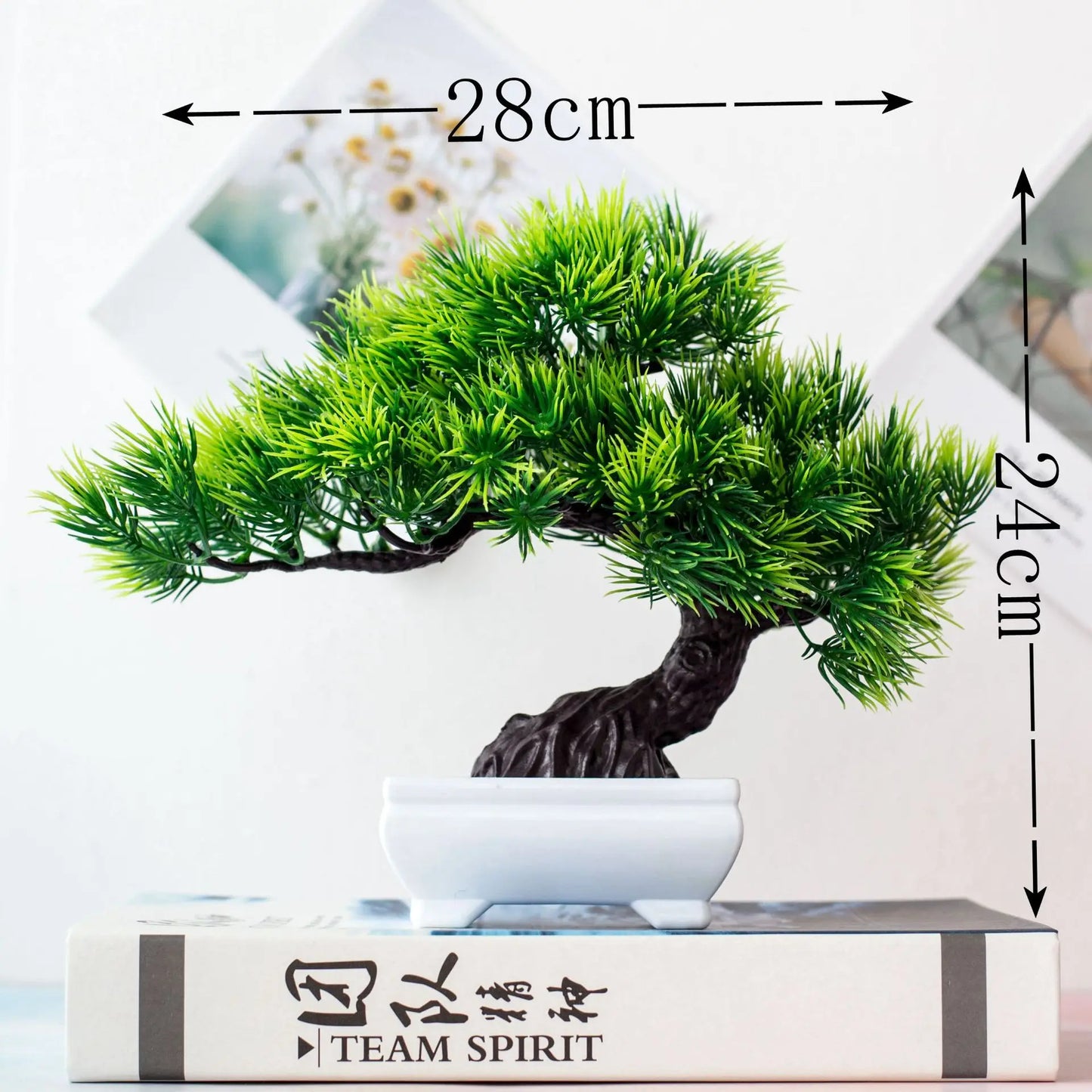 Norvo | Liten Tre Potte Bonsai Planter