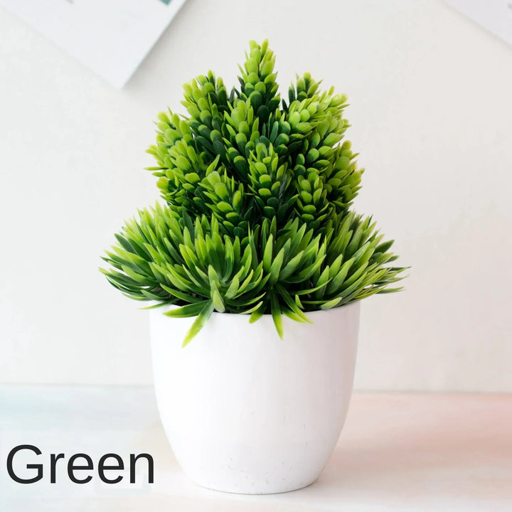 Norvo | Liten Tre Potte Bonsai Planter