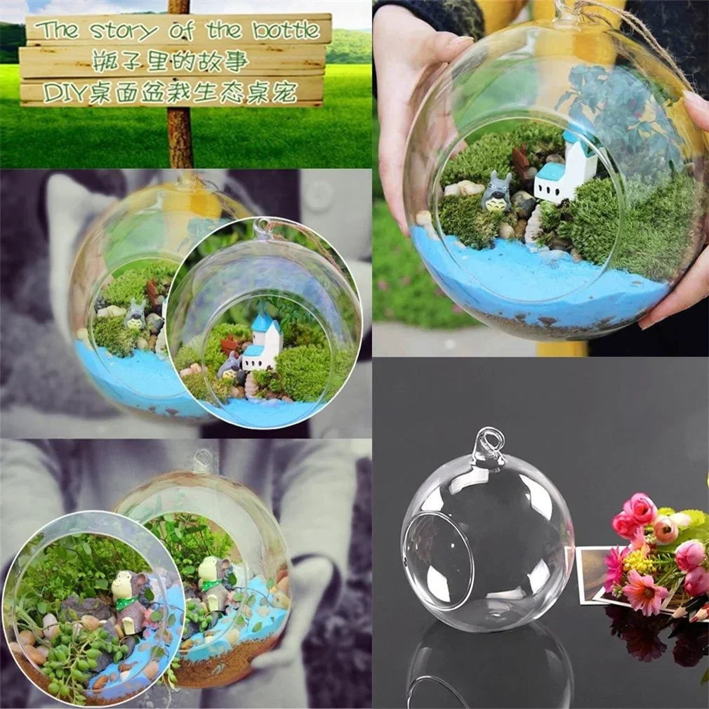 Norvo Glass Ball Vase Flower Plant Potted Creative Glass Container Home Office Decoration Home Table Decor Room Glass Vases