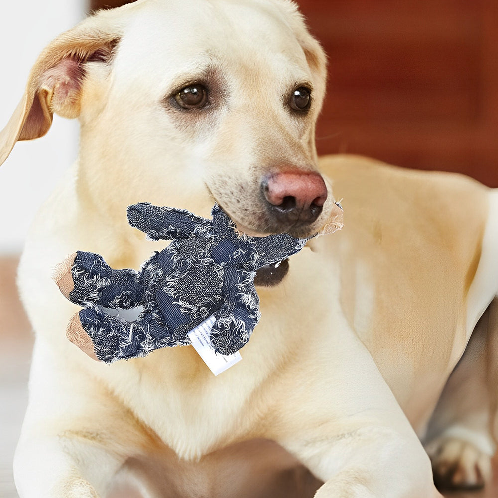 Norvo | Indestructible Robust Bjørn