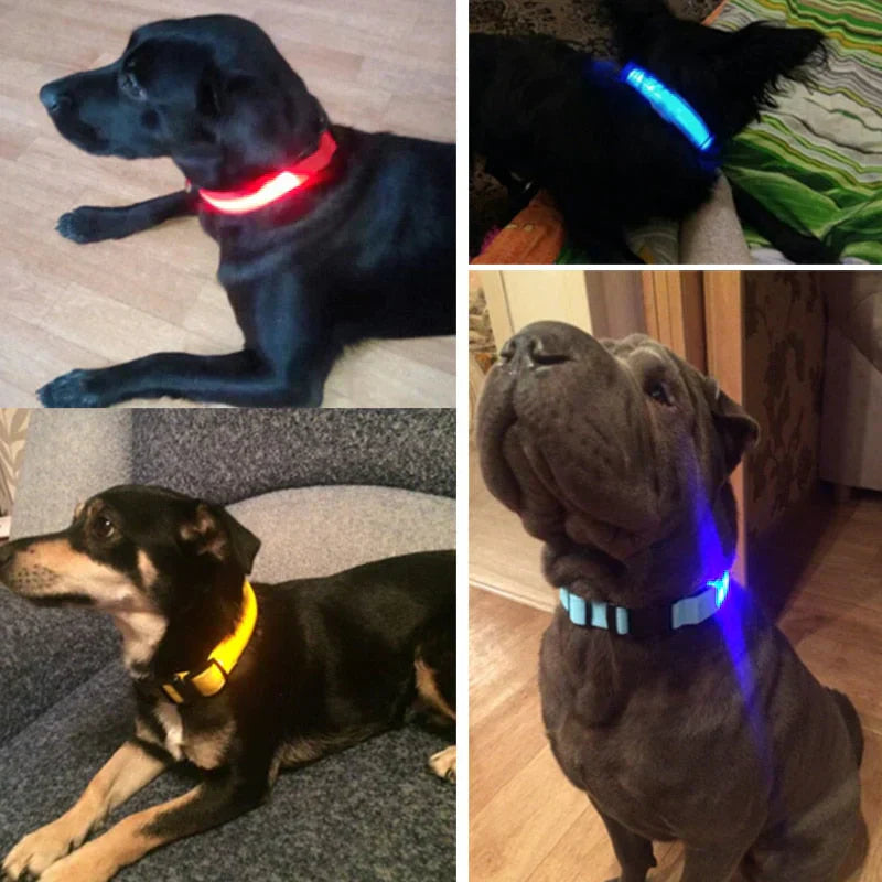 Norvo | GlowPets LED Halsbånd – Sikkerhet & Synlighet for Kjæledyr
