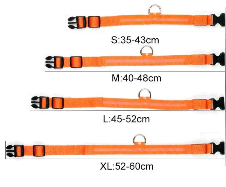 Norvo | GlowPets LED Halsbånd – Sikkerhet & Synlighet for Kjæledyr