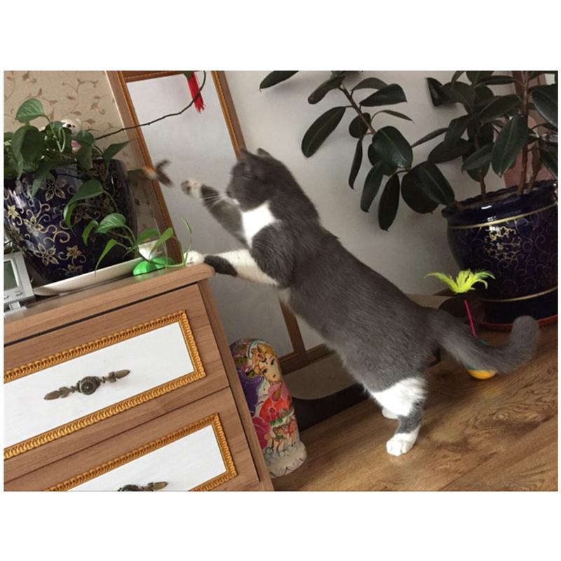 Norvo | Elektrisk roterende fargerikt kattetøy