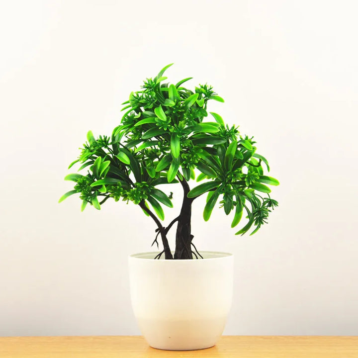 Norvo | Liten Tre Potte Bonsai Planter
