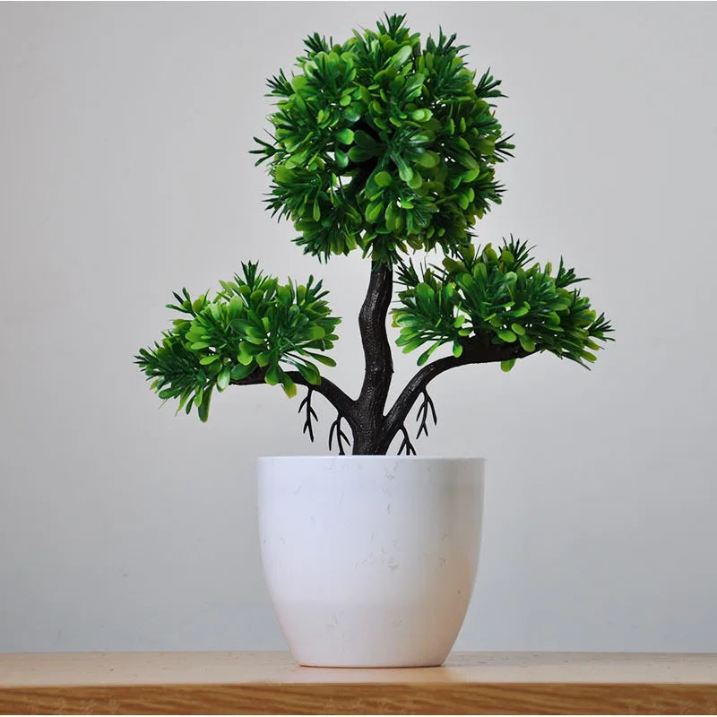 Norvo | Liten Tre Potte Bonsai Planter