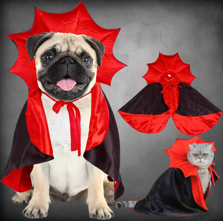 Norvo | Halloween Vampire Cape Hundekostyme