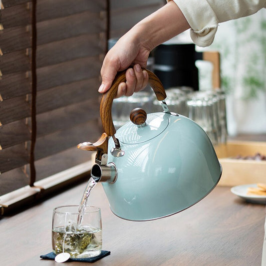 Harmony Luxe - Premium stainless steel pot with vintage elegance