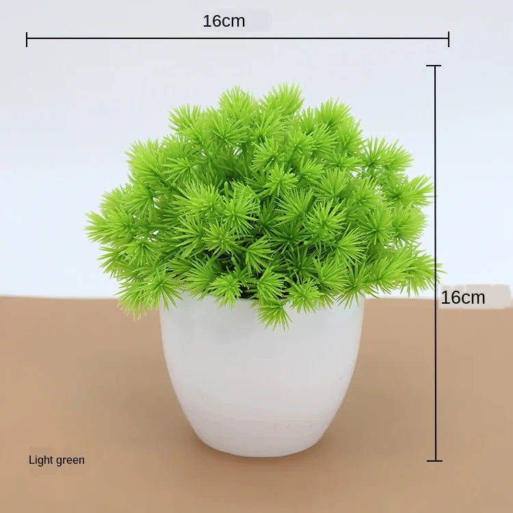 Norvo | Liten Tre Potte Bonsai Planter