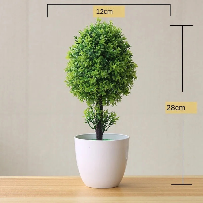 Norvo | Liten Tre Potte Bonsai Planter