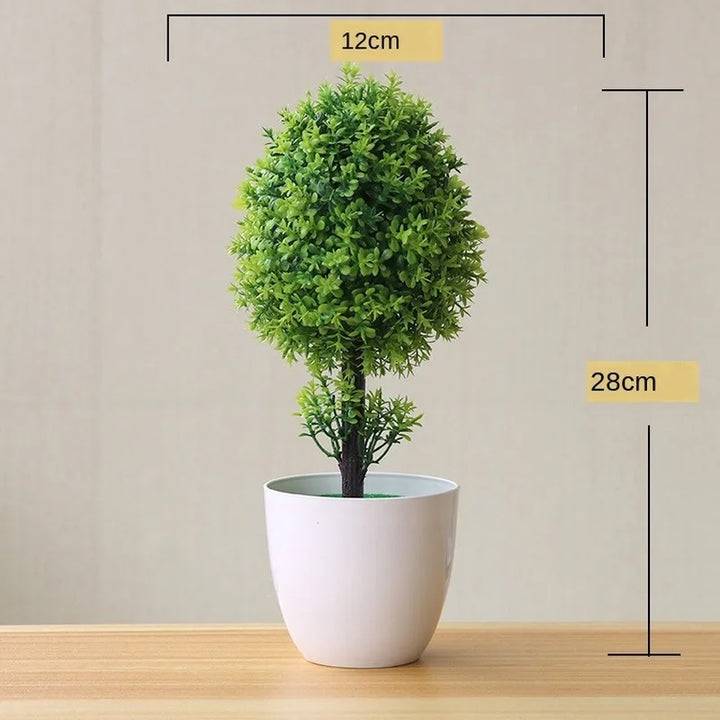 Norvo | Liten Tre Potte Bonsai Planter