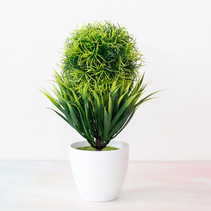 Norvo | Liten Tre Potte Bonsai Planter