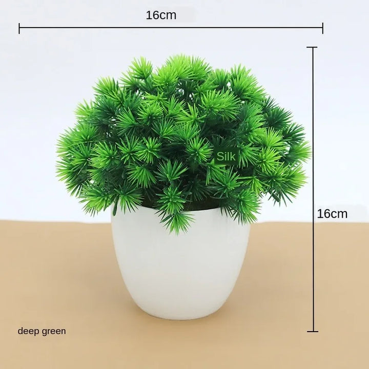 Norvo | Liten Tre Potte Bonsai Planter