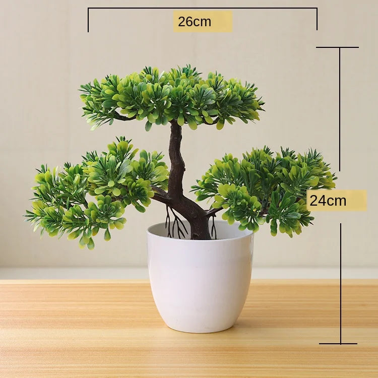 Norvo | Liten Tre Potte Bonsai Planter