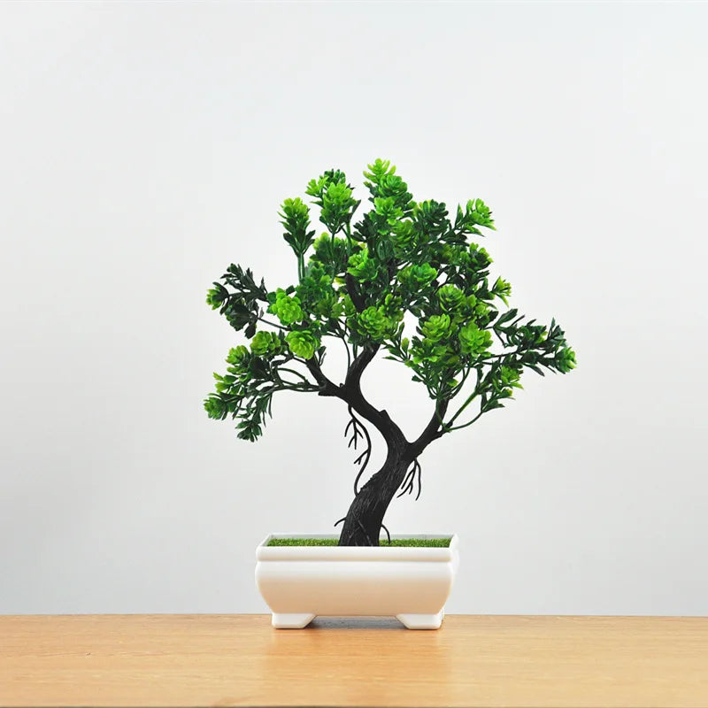 Norvo | Liten Tre Potte Bonsai Planter