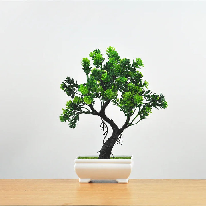Norvo | Liten Tre Potte Bonsai Planter