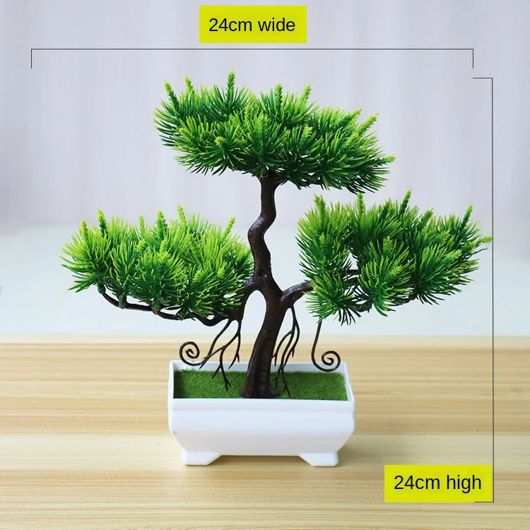 Norvo | Liten Tre Potte Bonsai Planter